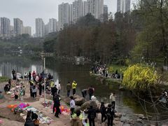 -重庆彩云湖湿地公园