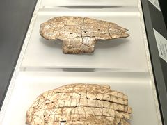 -禾珍珠家常小馆(河南博物院店)