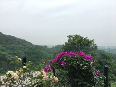 -远山有窑