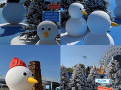 -汕头中海黄金海岸水上乐园