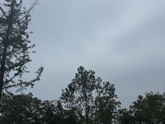 -西安市长乐公园