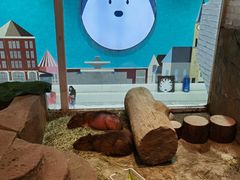 -Mr·Kuma酷么先生雪之乐园