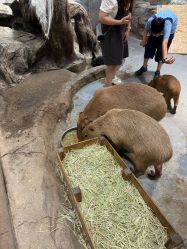 -Zoolung Zoolung动物主题公园(海信广场店)