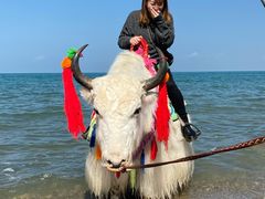 -青海湖国家重点风景名胜区
