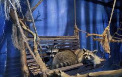 -酷嗒动物文化乐园(cutezoo西溪乐天城店)