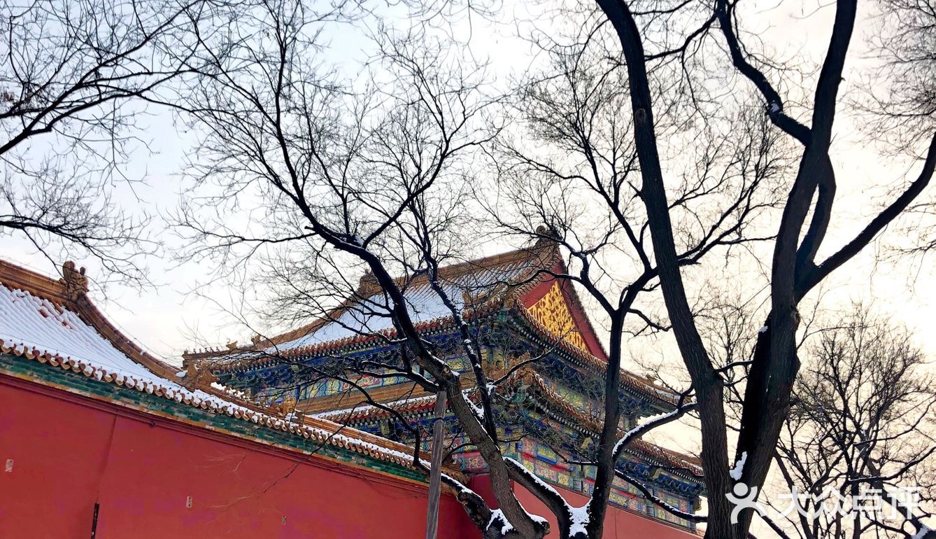 翻到了年前赶上下雪的时候去的旧宫，还是没忍住把照片发