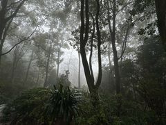 -南山植物园