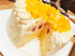 -维尔纳斯·生日蛋糕·动物奶油冰淇淋蛋糕(六里桥店)