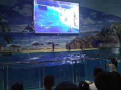 -福州罗源湾海洋世界旅游区