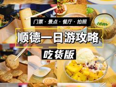 -豆豆冰室·地道招牌椰子冻(大良店)