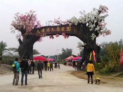 -天适樱花悠乐园