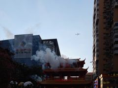 -越秀西湖花市(广州城市广场花卉店)