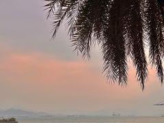 -鼓浪屿内厝澳码头(轮渡站)