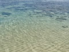 -东姑阿都拉曼海洋公园