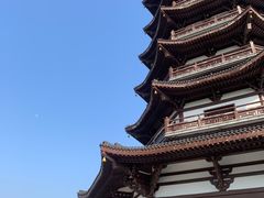 -洋湖国家湿地公园