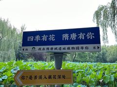 -洛阳市隋唐城遗址植物园