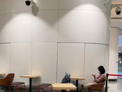 -麦当劳(北京大兴机场二层国内到达(安检外)店)