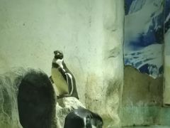 -北戴河圣蓝海洋公园