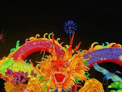 -武汉园博园(武汉自然博物馆)