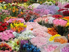 -双季花艺园艺市场(浦东店)