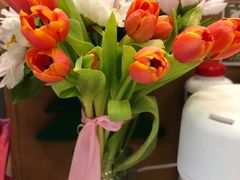 -双季花艺园艺市场(浦东店)