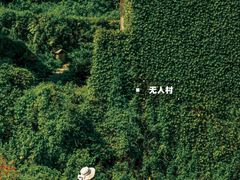 -枸杞岛