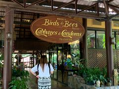 -卷心菜和避孕套餐厅(Pattaya)