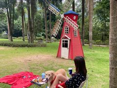 -南宁良凤江国家森林公园