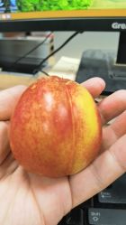 点击看大图 -禧悦府国际月子会所(总店)