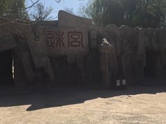 -杨柳青庄园