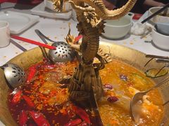 -小龙翻大江文化火锅(宽窄店)