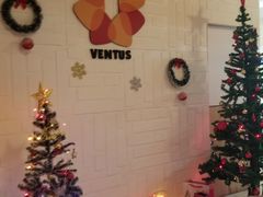 -ventus spa 沙巴亚庇正宗精油按摩会所