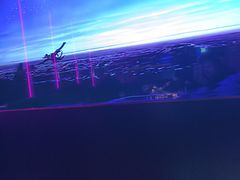 -温莎KTV(国贸店)