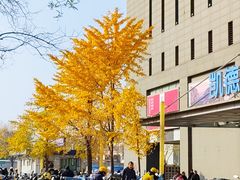 -凯德MALL(西直门店)