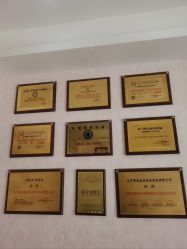 -香薇妮丝·定制减肥·身材管理