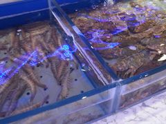 -澜悦港海鲜体验主题餐厅
