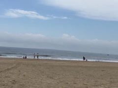 -东海岛旅游度假区