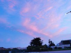 -济南国际园博园