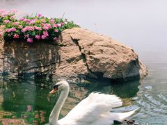 -罗红摄影艺术馆