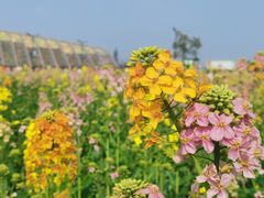 -中国天府农业博览园