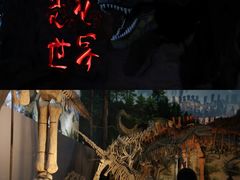 -中国西峡恐龙遗迹园