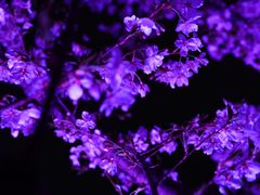 -西北湖绿化广场