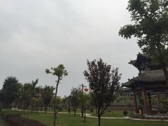 东方削面(迎泽街店)-东方削面(迎泽街店)