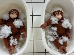 -宜家家居(高新商场店)