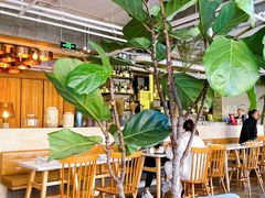 -the rug 飞毯 (朝阳公园店)