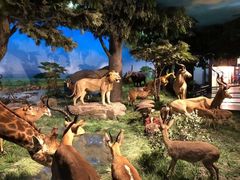 -国家自然博物馆