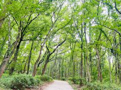 -句容茅山景区