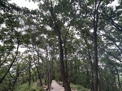 -帽儿山国家森林公园