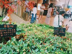 -武汉光谷K11