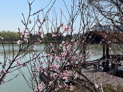 -澹台湖公园